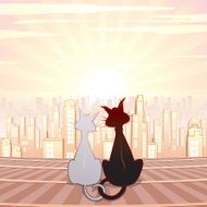 Cats pair