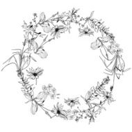 wild flowers and herbs