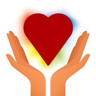 Hands heart (vector)