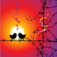 Love birds kissing on branch N2