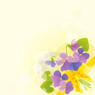 Violas Invitation N2