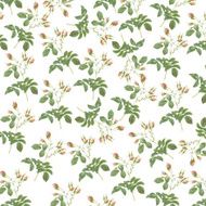 Wallpaper with roses N8