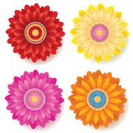 Gerber Daisy Flower - Spring