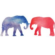 Elephants N30