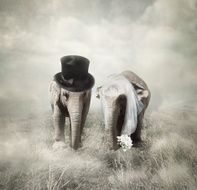 Wedding N165