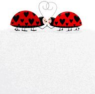 Ladybug love