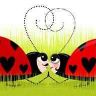 Ladybug love N2