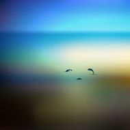 Sunset beach Sea with dolphins Vector background illustration