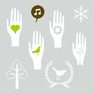 Natural selection collection illustration