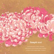 Romantic background with pink chrysanthemum on gold