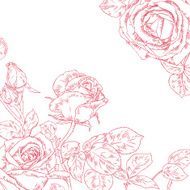 beautiful rose N4