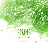 Blossoming Spring Branch Vector illustration N12