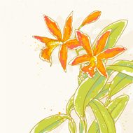 Branch of orange orchids on toned background