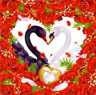 Greeting card with swans in love N2