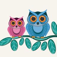 owls N12