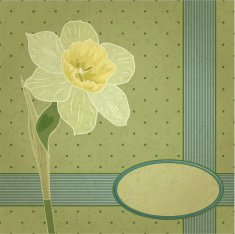 daffodil N2