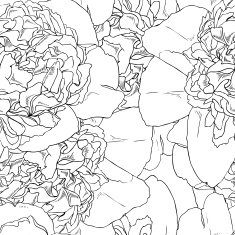 seamless pattern of monochrome graphic peonies N2