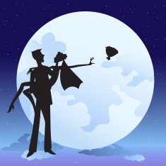 bride and bridegroom in romantic night