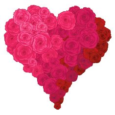 Heart of roses N17