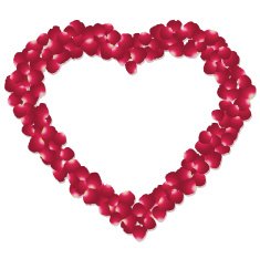 Heart Shape Rose Petal Background N2