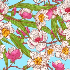 color magnolias and narcissus