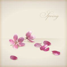 Floral vector cherry blossom flowers spring design