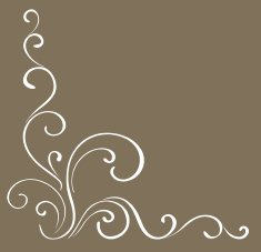Decorative ornament Vector N7