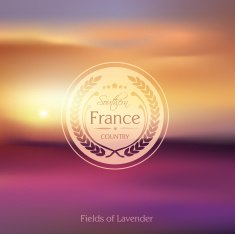 southern france countryside blur lavender field vector background