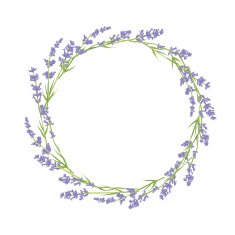 Circle of lavender flowers N2