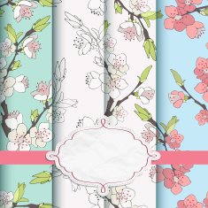 Cherry branch in blossom N2