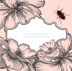 Vintage frame with blooming roses and beetle Vector illustration
