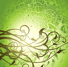 floral grunge background N5