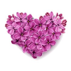 Heart from flowers of a lilac N5