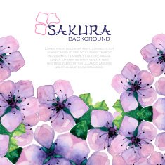 Watercolor elegant background with japanese sakura