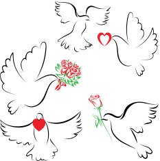 Dove&love