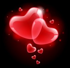 Happy Valentine's Day N296