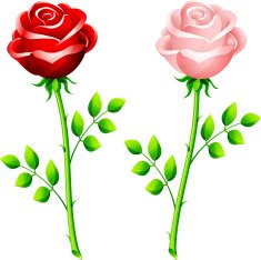 realistic red and pink rose on a stem
