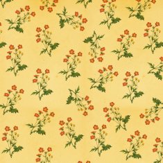 High Resolution Wallpaper with Flowers N2