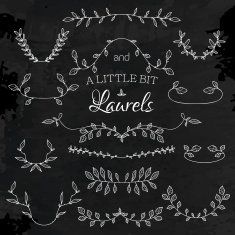 Chalkboard with nature elements and laurels