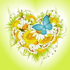 valentine flower heart daisies and dandelions N2