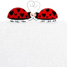 Ladybug love
