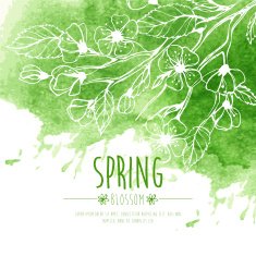 Blossoming Spring Branch Vector illustration N12