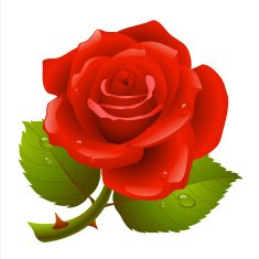 Red rose N46
