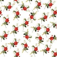 High Resolution Wallpaper with Roses N2