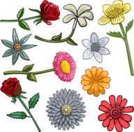 Colorful Flowers N17