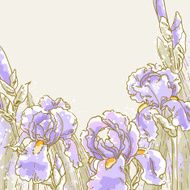 Background with iris flowers