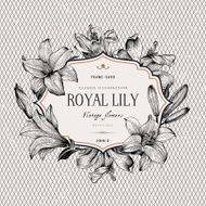Vintage vector background N12
