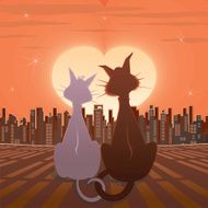 Cute Couple Cat