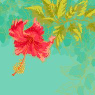 Hibiscus flower on toned background N2