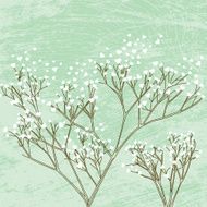 Baby&#039;s Breath of Love